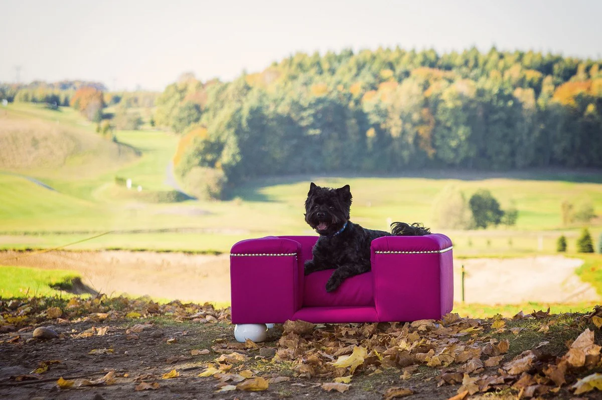 Luxury dog ​​bed purple / white / purple 80 x 65 x H. 37 cm - Modern rectangular dog bed with cushions - Luxury dog ​​furniture - Luxury pet furniture